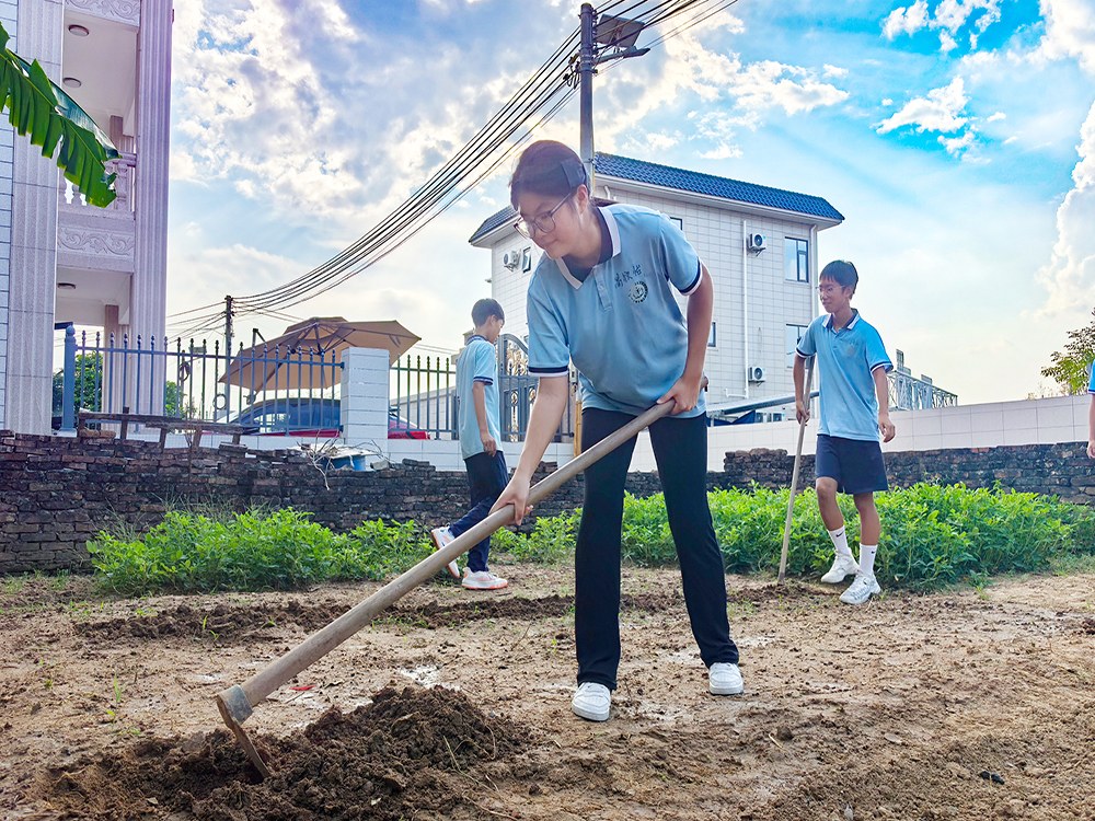 雅安逆反孩子教育培训机构具体位置与择校指南